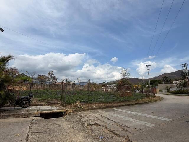 Terreno para Venta en Valencia - 3