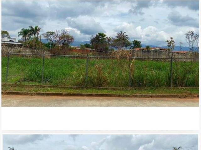 Terreno para Venta en Valencia - 4