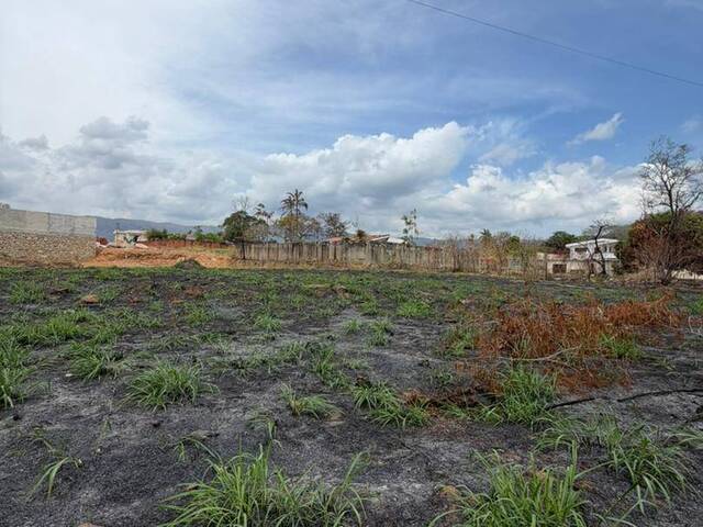 Terreno para Venta en Valencia - 5