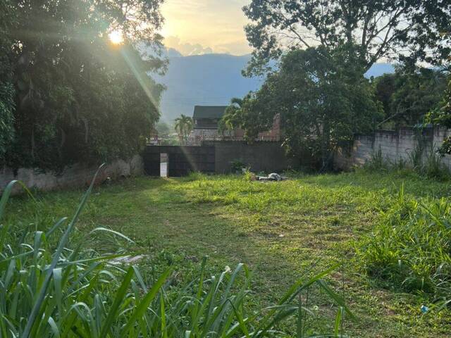 Terreno para Venta en Valencia - 4