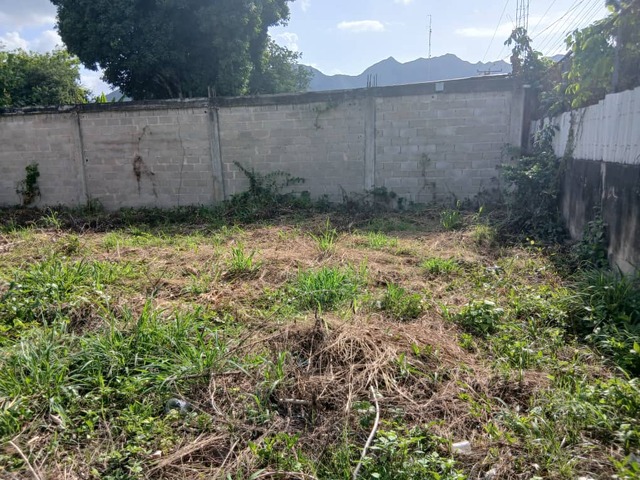 Terreno para Venta en Guacara - 4