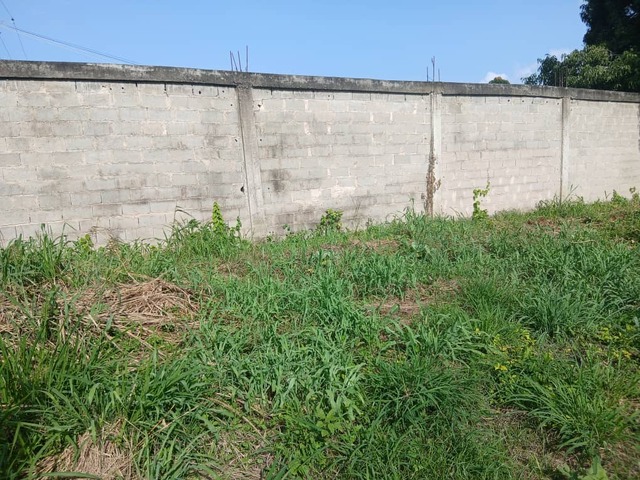 Terreno para Venta en Guacara - 5