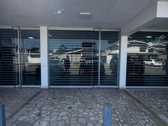 Local / Casa Comercial para Alquiler en Valencia - 3