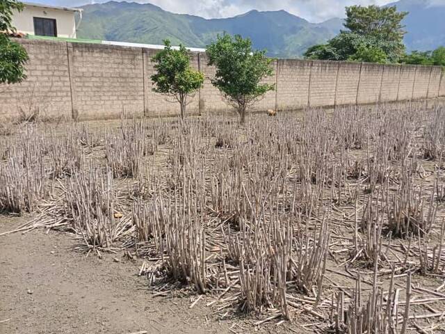 Mini finca para Venta en San Diego - 3