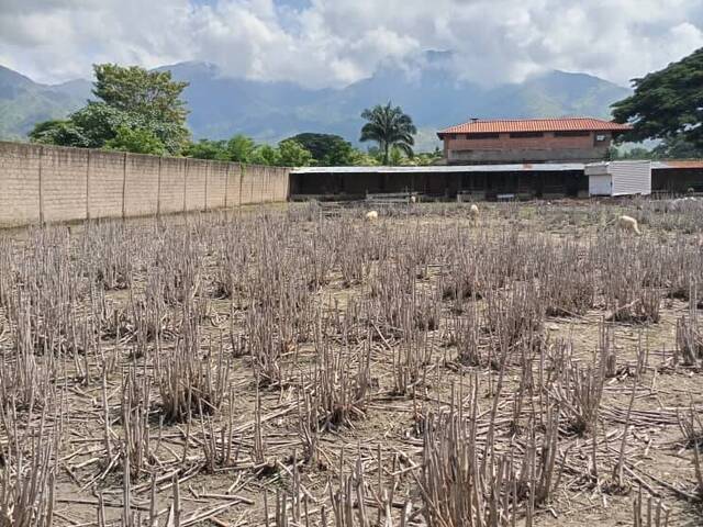 Mini finca para Venta en San Diego - 2