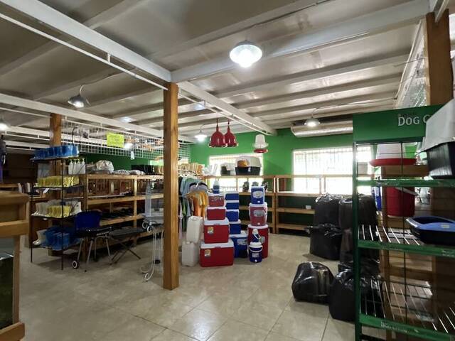 #323812 - Local / Casa Comercial para Alquiler en Guacara - G