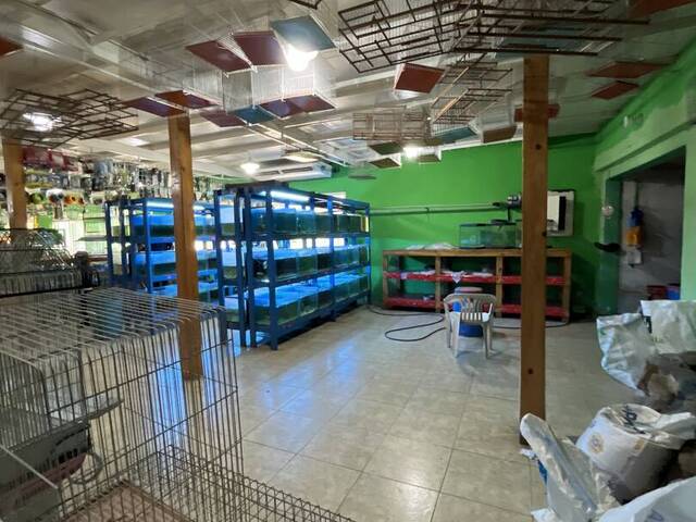 Local / Casa Comercial para Alquiler en Guacara - 4