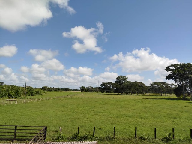 #30300 - Hacienda / Finca / Granja para Venta en Yaracal - I