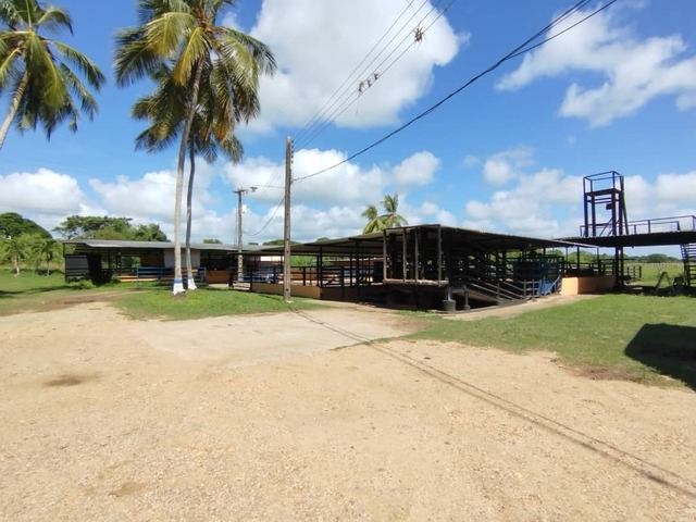 #30300 - Hacienda / Finca / Granja para Venta en Yaracal - I