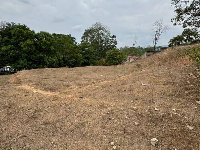 Terreno para Venta en Valencia - 3
