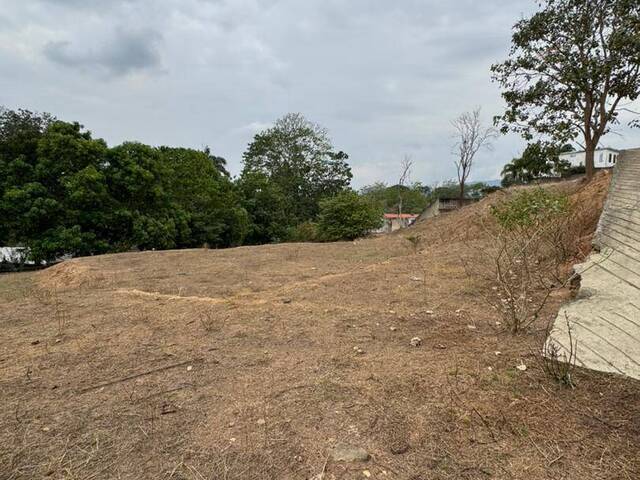 Terreno para Venta en Valencia - 4
