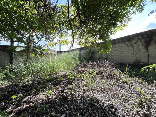 #324356 - Terreno para Venta en Valencia - G