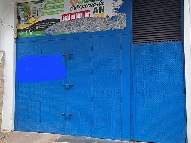 #30417 - Local / Casa Comercial para Alquiler en Valencia - G