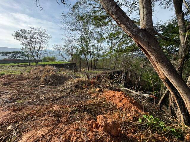 #324745 - Terreno para Venta en Valencia - G