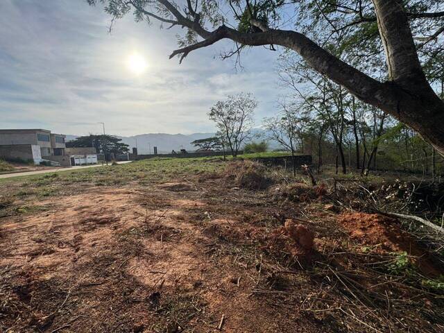Terreno para Venta en Valencia - 4
