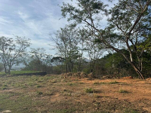 Terreno para Venta en Valencia - 5