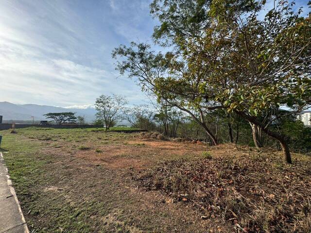 #324745 - Terreno para Venta en Valencia - G