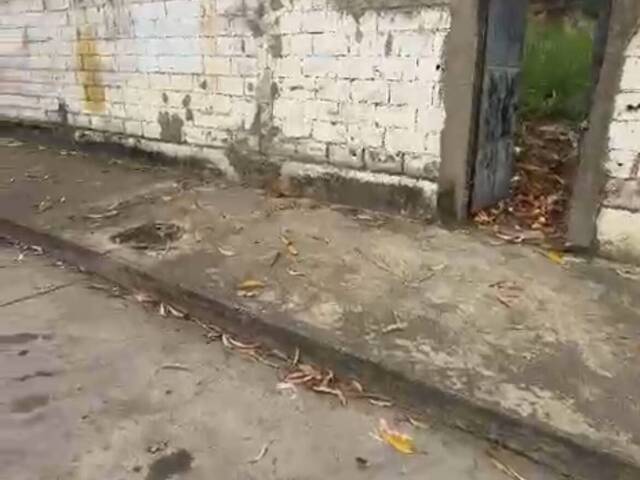 para en - 3