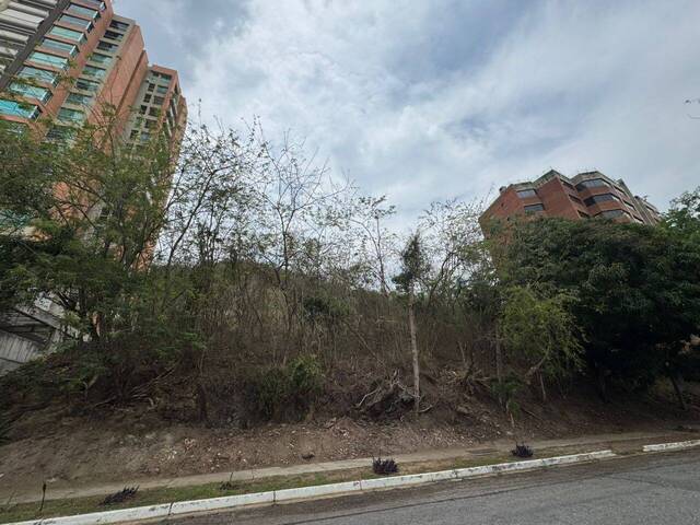 Terreno para Venta en Valencia - 4
