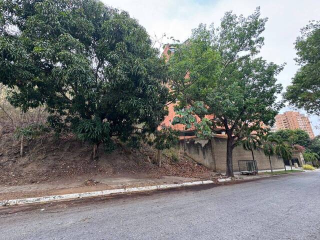 Terreno para Venta en Valencia - 5