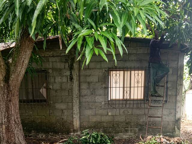 #325395 - Casa para Venta en Valencia - G