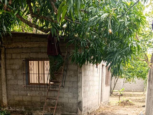 #325395 - Casa para Venta en Valencia - G