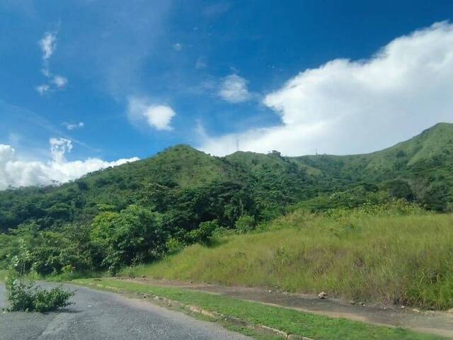 #324590 - Terreno para Venta en  Naguanagua - G