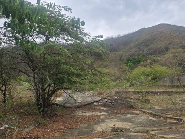 Terreno para Venta en  Naguanagua - 4
