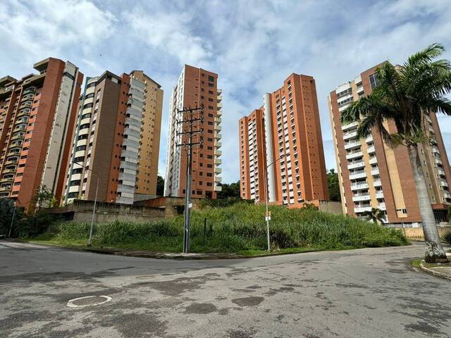 Terreno para Venta en Valencia - 4