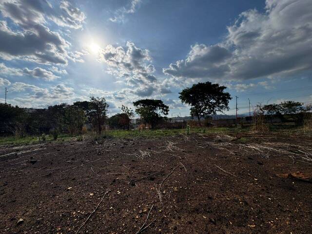 Terreno para Venta en Valencia - 3
