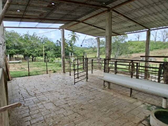 #326272 - Hacienda / Finca / Granja para Venta en Puerto Cabello - G - 3
