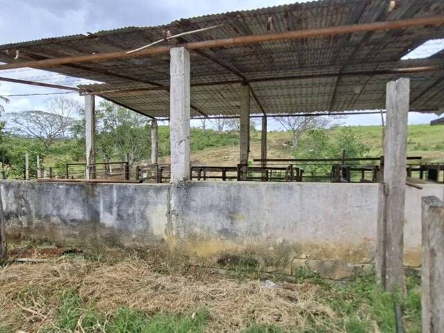 Hacienda / Finca / Granja para Venta en Puerto Cabello - 4