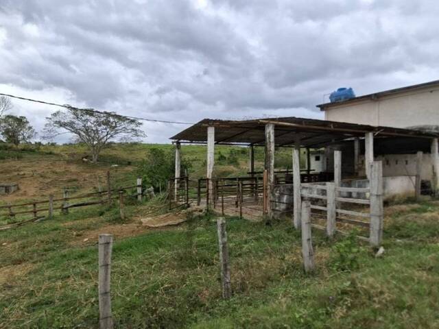 #326272 - Hacienda / Finca / Granja para Venta en Puerto Cabello - G - 2