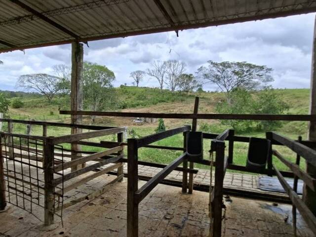 Hacienda / Finca / Granja para Venta en Puerto Cabello - 5