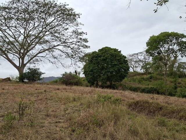 Venta en Otros - Puerto Cabello