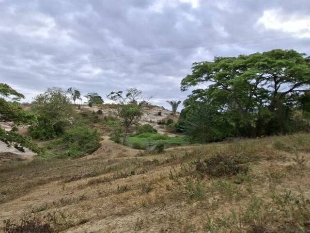 Hacienda / Finca / Granja para Venta en Puerto Cabello - 4