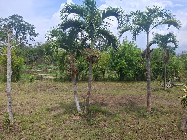 Terreno para Venta en Bejuma - 5