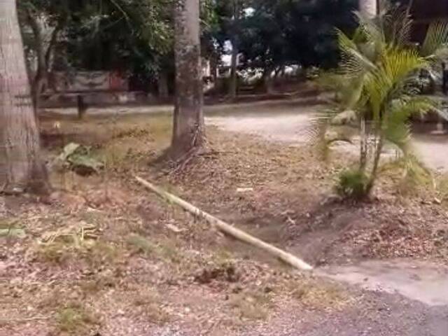Mini finca para Venta en Bejuma - 3