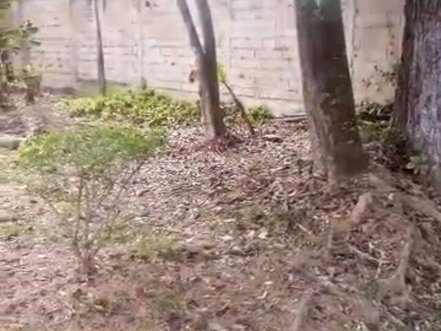 Mini finca para Venta en Bejuma - 2