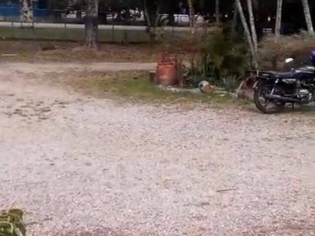 Mini finca para Venta en Bejuma - 5