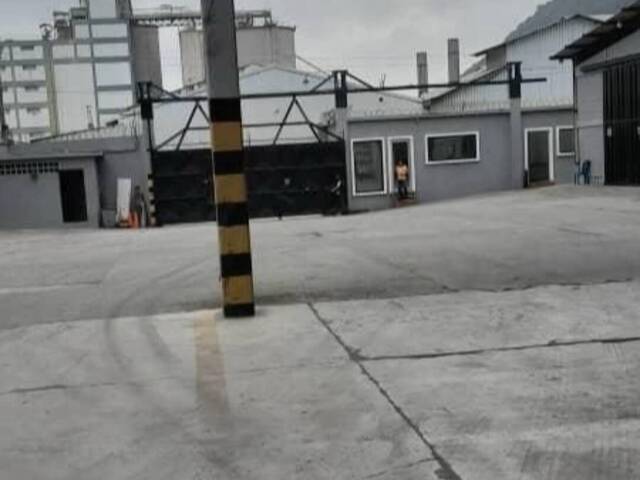  para  en  - 5