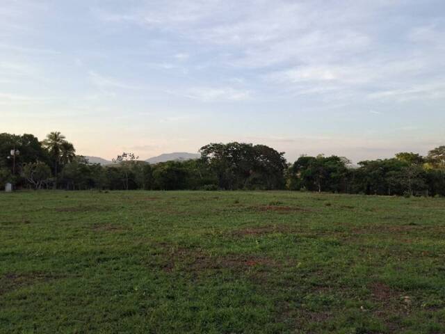 #326937 - Terreno para Venta en Tocuyito - G - 3