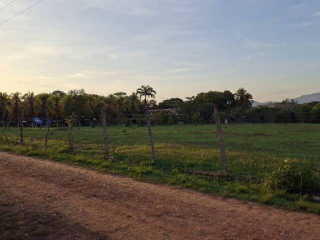 #326937 - Terreno para Venta en Tocuyito - G - 2