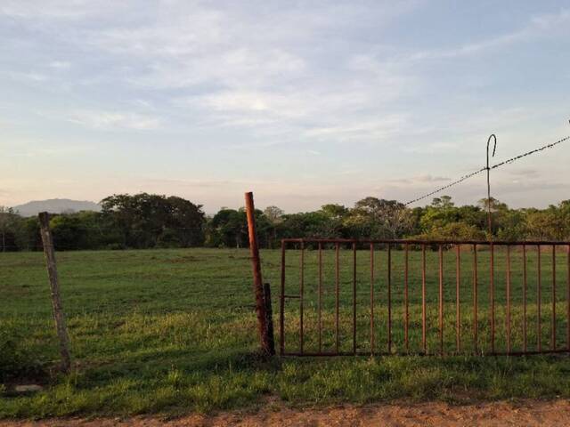 #326937 - Terreno para Venta en Tocuyito - G - 1