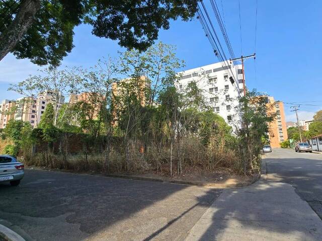 Terreno para Venta en Valencia - 5