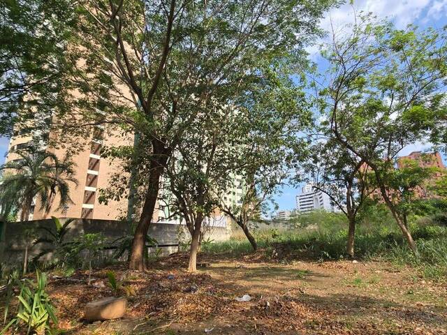 Terreno para Venta en Valencia - 5