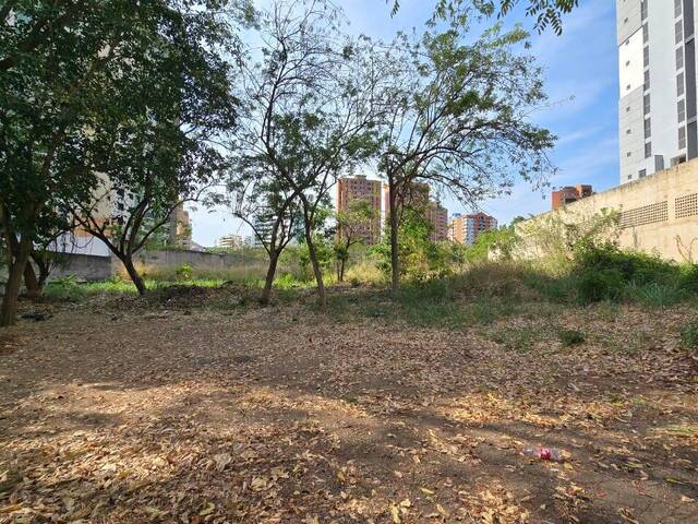 Terreno para Venta en Valencia - 3