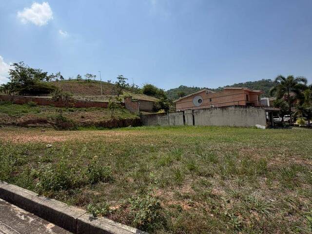 Terreno para Venta en Valencia - 3