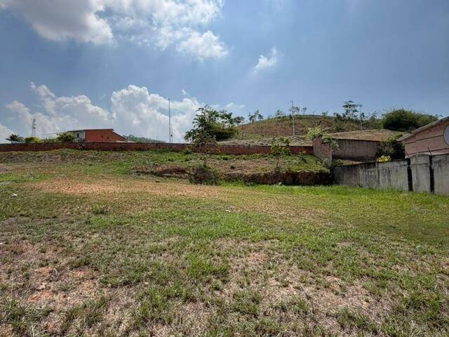Terreno para Venta en Valencia - 4