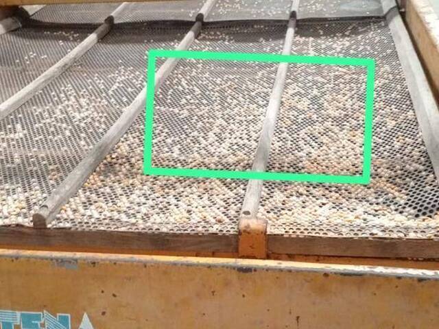 #328708 - Negocio / Empresa para Venta en Valencia - G - 3